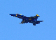 image0375