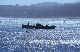 image0419