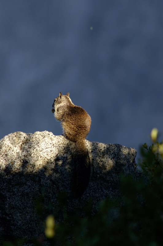 image0098