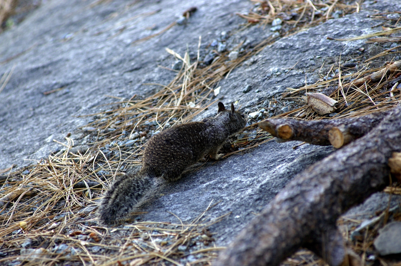 image0104