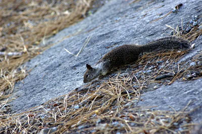 image0105