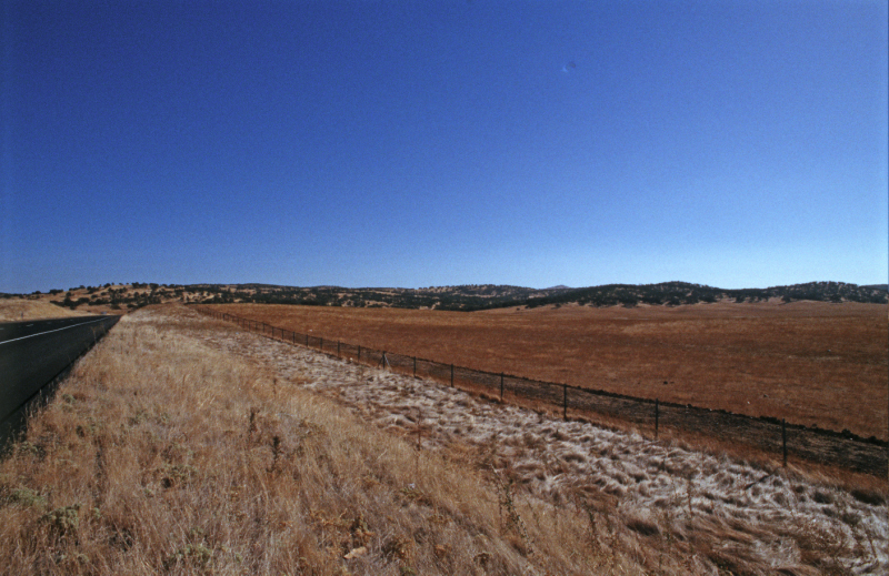 image0156
