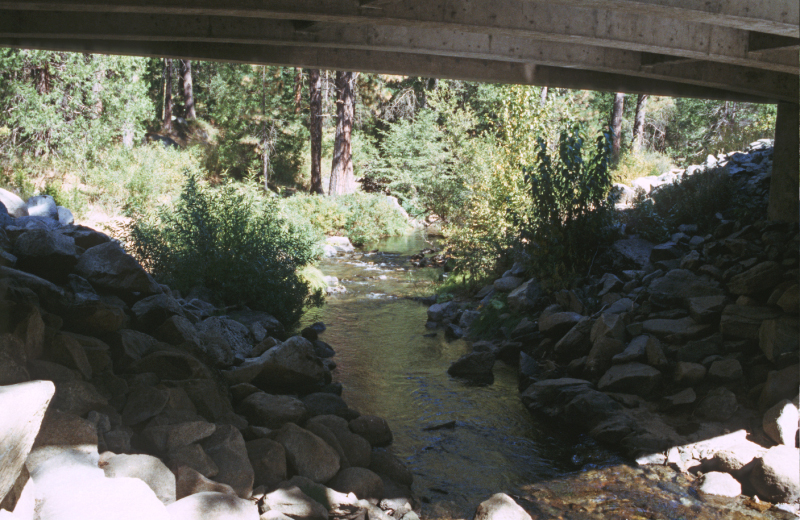 image0168