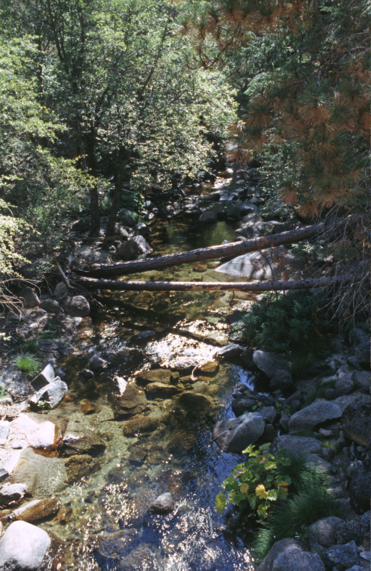 image0170