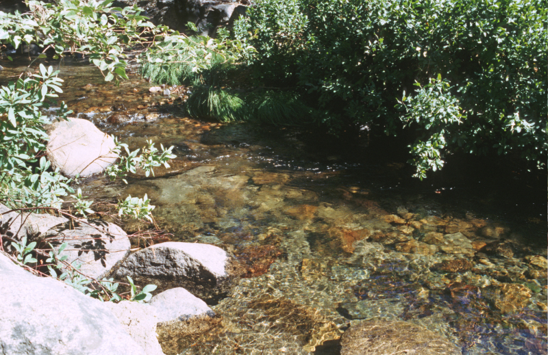 image0171