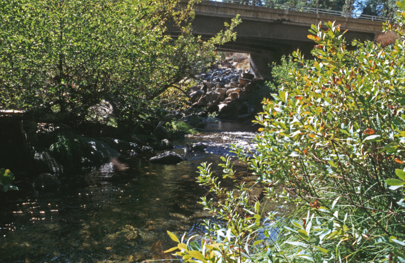 image0172