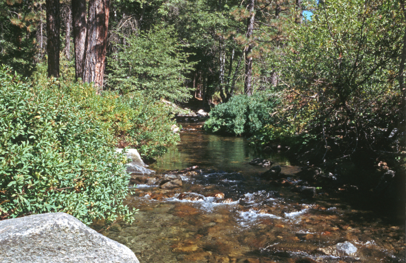 image0173