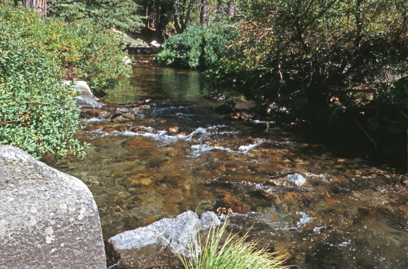 image0174