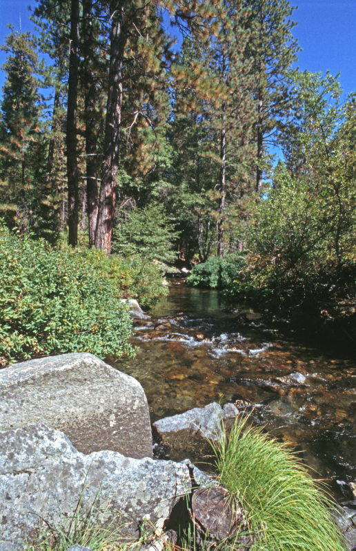 image0175