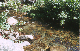 image0171