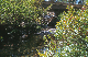 image0172