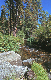 image0175