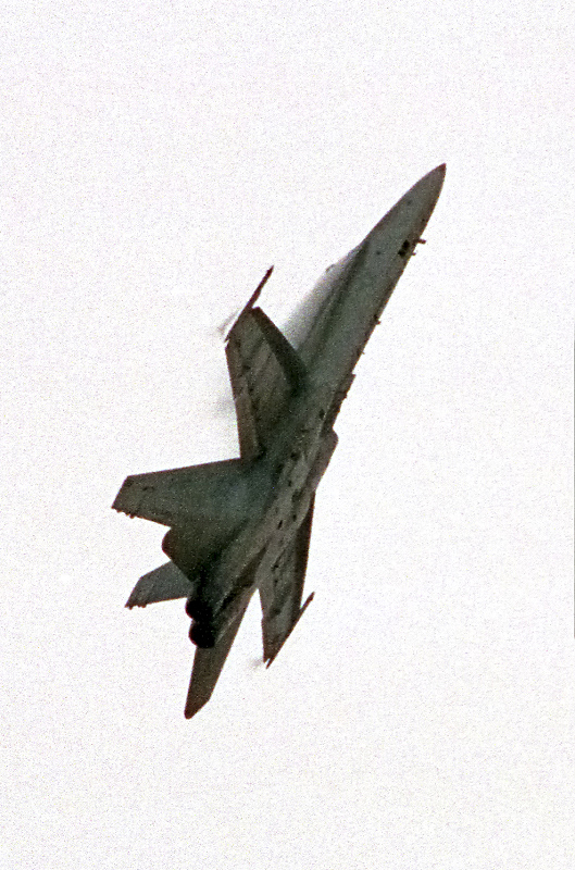 image0137