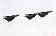 image0165