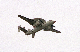 image0177