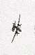 image0180