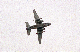 image0181