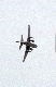 image0182
