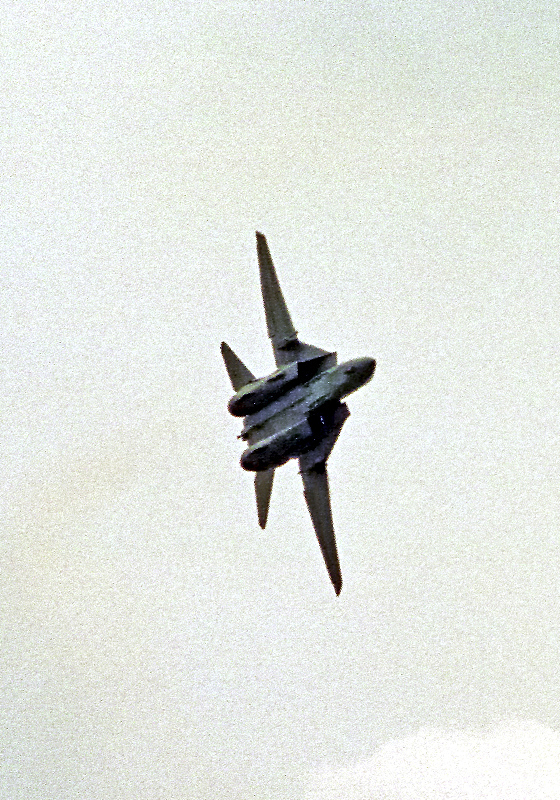 image0096
