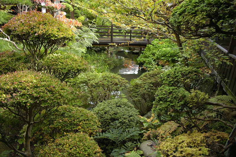 image0073