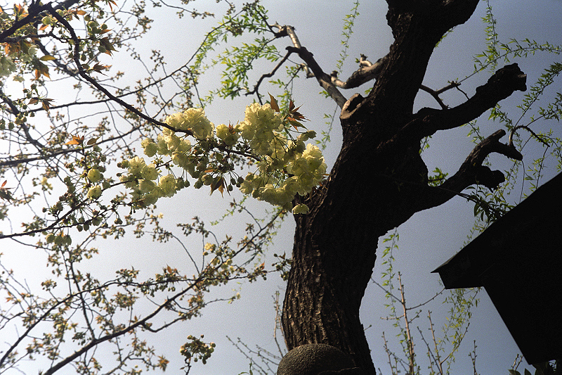image0006