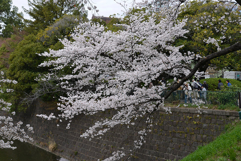 image0102