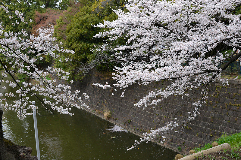 image0103