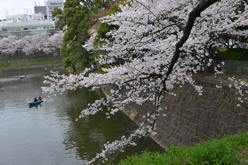 image0107