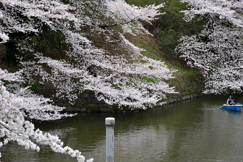 image0111
