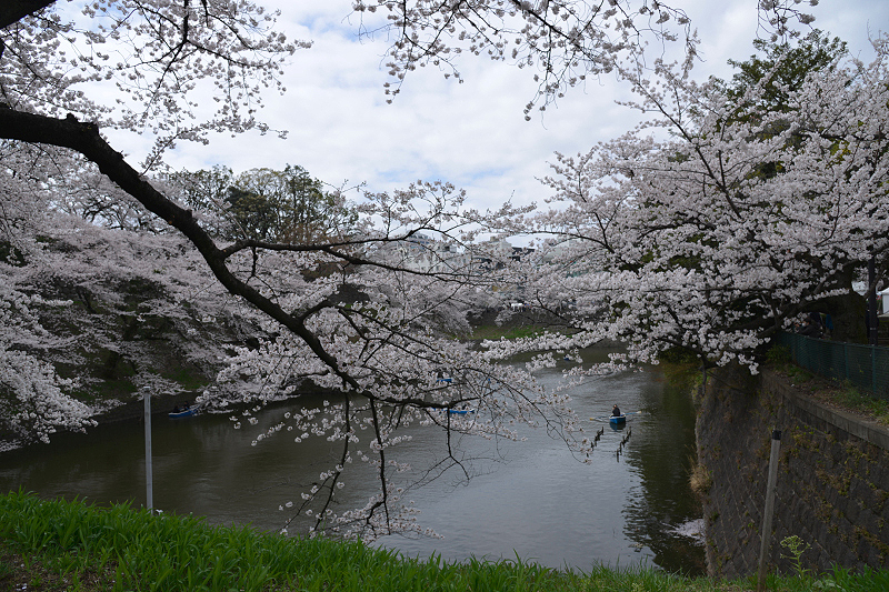 image0114