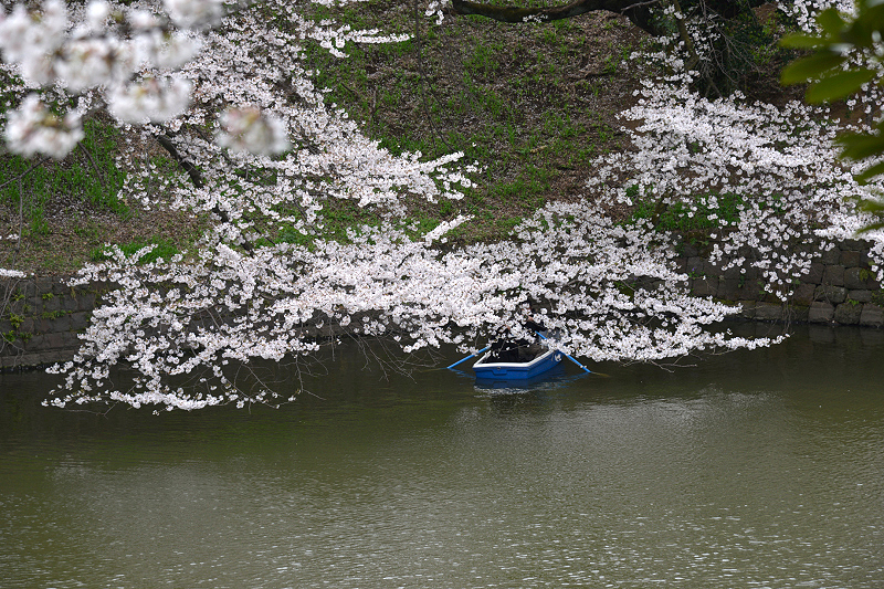 image0122