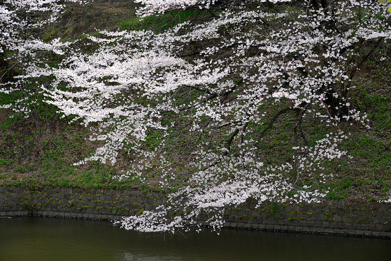 image0130