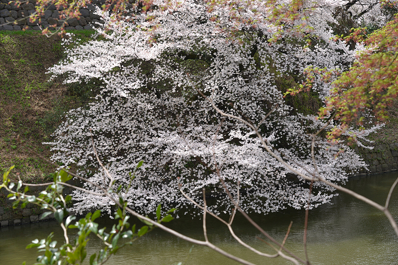 image0132
