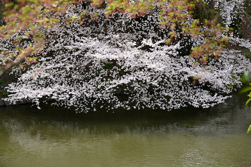 image0136