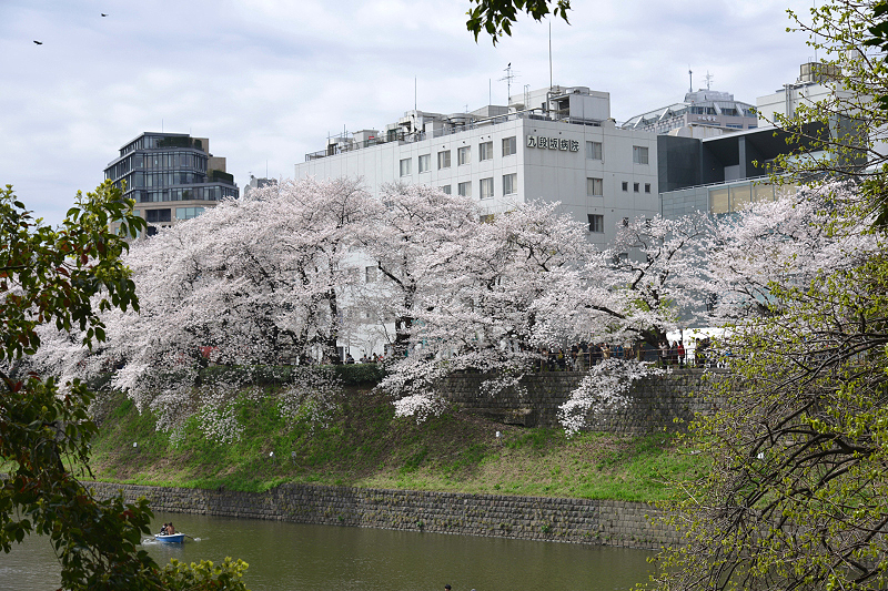 image0138