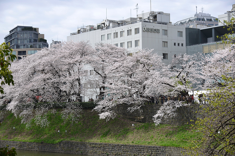 image0139