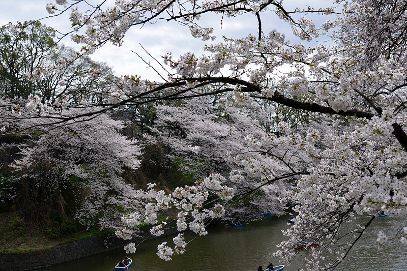 image0146
