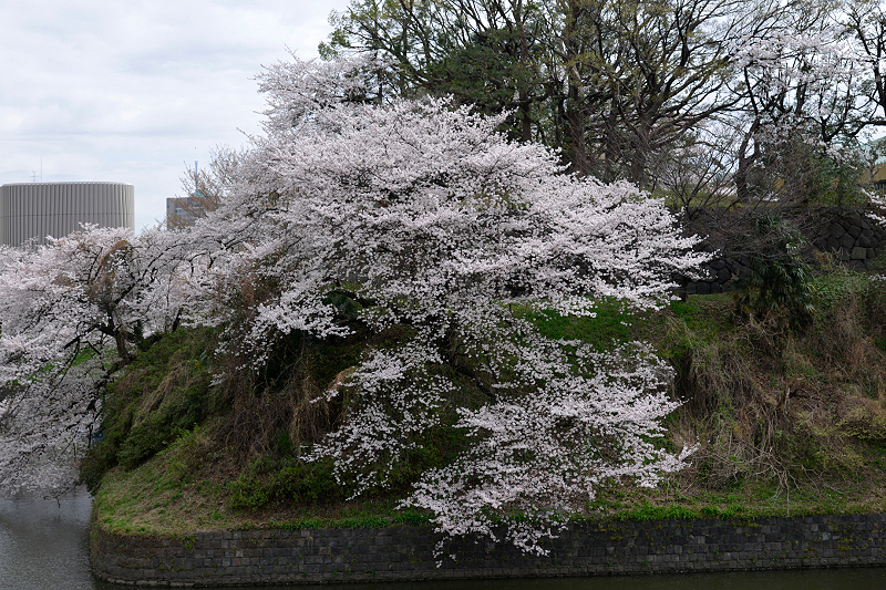 image0162