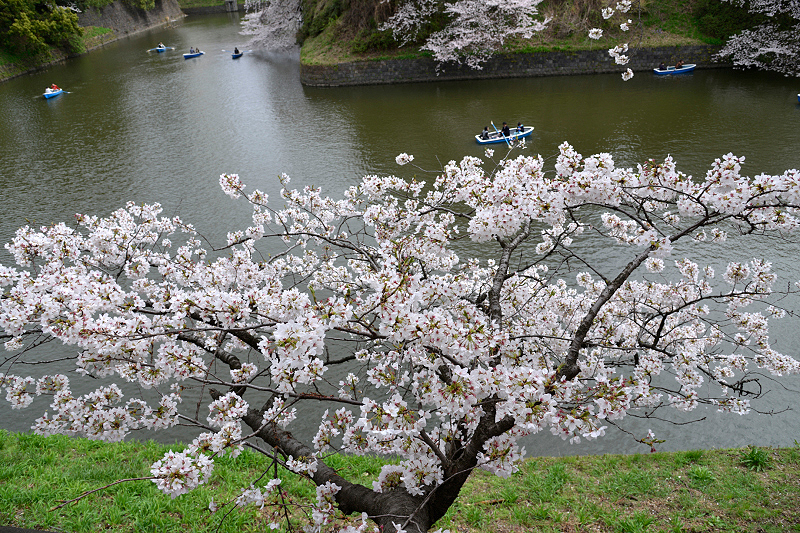 image0164