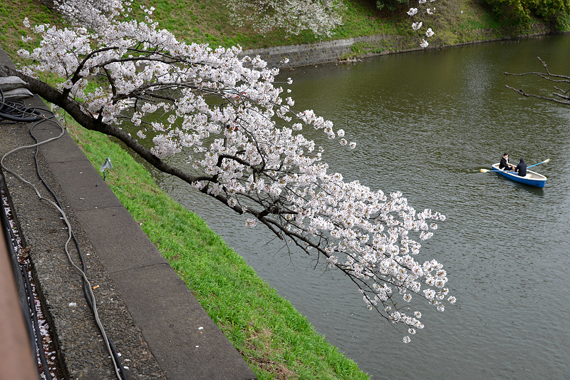 image0166