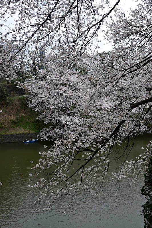 image0169