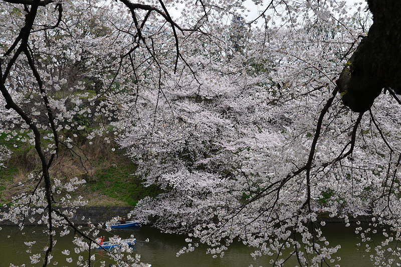 image0171
