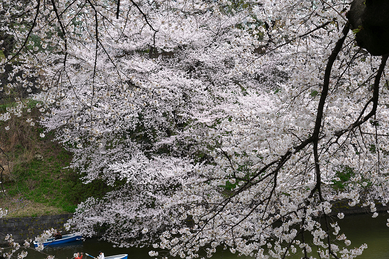 image0172