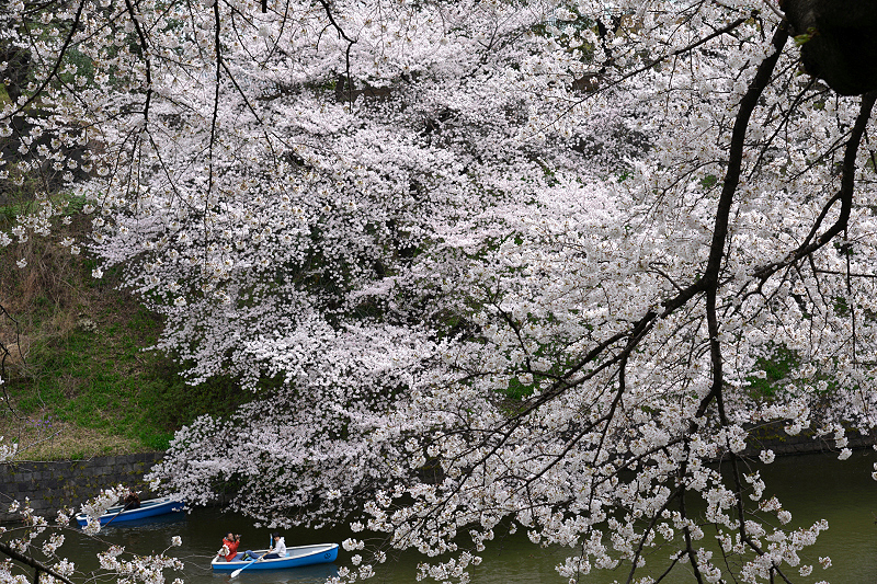 image0173