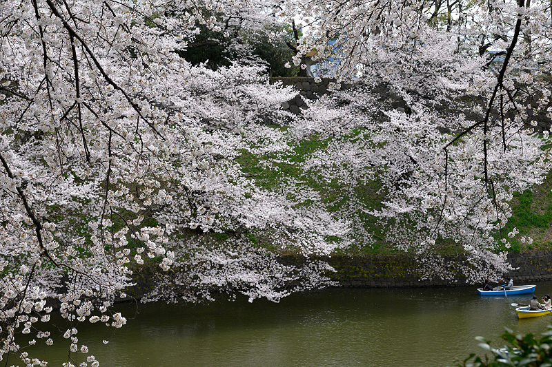 image0174