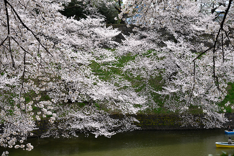 image0175