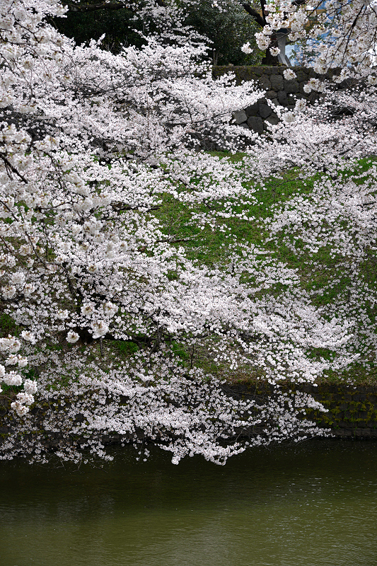 image0176