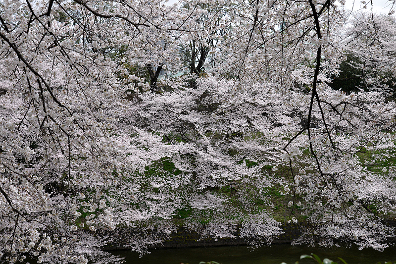 image0177