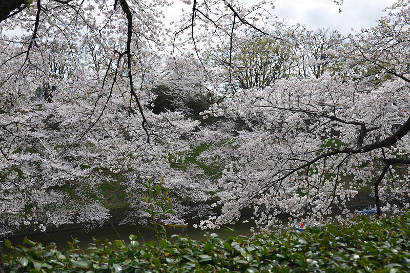 image0178