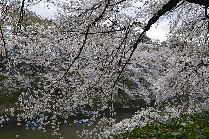image0181